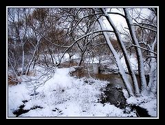фото "Не замерз..."
