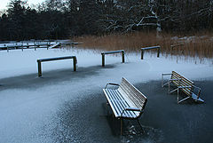 фото "Bench"