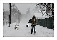 photo "Winter (7) - visit Grandma..."