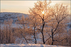 photo "***"