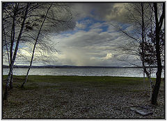 photo "Capricious mood by nature"