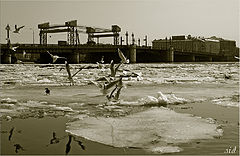 photo "***"