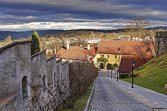 photo "January, 20th"