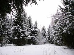 фото "Зимняя сказка"