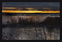 photo "***"