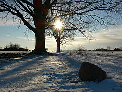 photo "***"