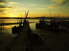 photo "One to look at ....."
