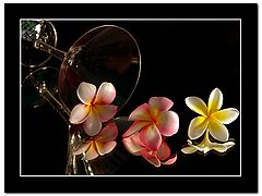 photo "Time to dance"