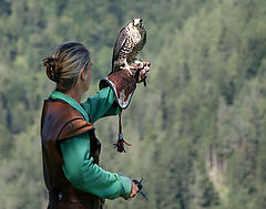 photo "22572 Falcon Show"