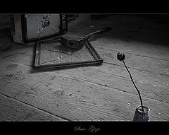 фото "Deceived of mirrors"