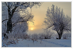 photo "Welcome. February!"