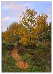 photo "Autumn sketch"