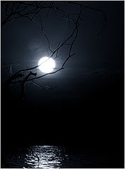 photo "***"