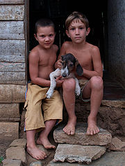 photo "Friends"