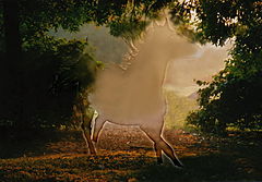 photo "***"
