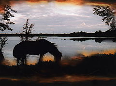 photo "***"