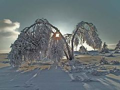 фото "frosty sunset"