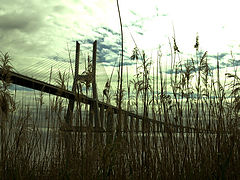 photo "Good day ..... Lisbon."