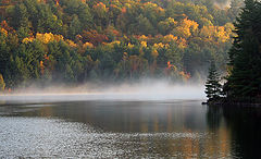 фото "Morning"