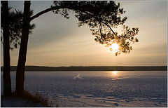 фото "зимнее закатное"