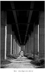 фото "different perspective.."