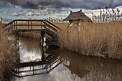 photo "Overflow land"