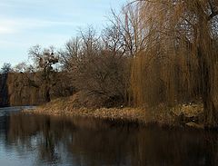 photo "***"