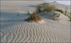 photo "Unknown isles."