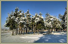 photo "in February"
