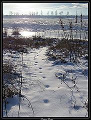 photo "***"