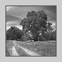 photo "***"