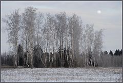 photo "Morning moon"