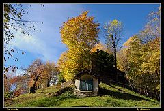 photo "autumn"