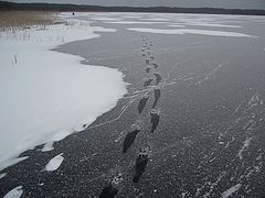 фото "Осторожно гололед"