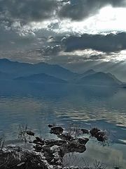 фото "Skadar lake..."