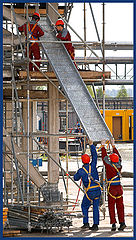 photo "Technical tray"