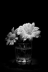 photo "***"
