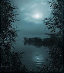 photo "In such night poets are lonely"