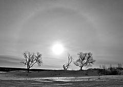 photo "Winter glance"