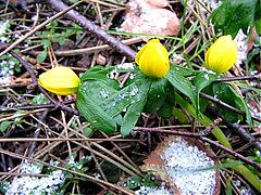 фото "Winter."