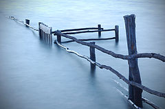 фото ":: Melancholic ::"
