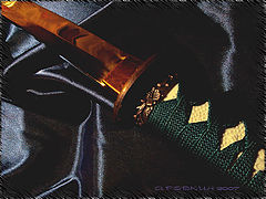 photo "A blade is glow... But the reason is calm... It is time...."