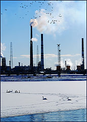 photo "Frost occurred"