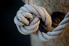 фото "knot"