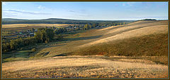 photo "By female quail fields"