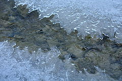 photo "Charm of an ice"
