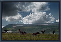 photo "***"