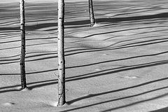 фото "февраль"