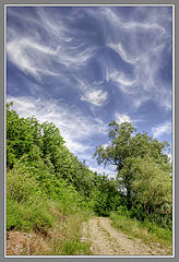 photo "***"