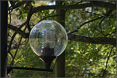 photo "Street Lamps 19/29"